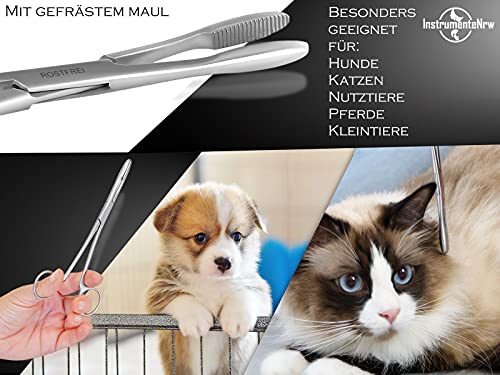 Zupfzange für Hundeohren Haarzange Hunde Haarzupfzange Tierhaar-Entferner Edelstahl Rostfrei mit Innenzahnung ohne Sperre in Profi-Qualität (18 cm)