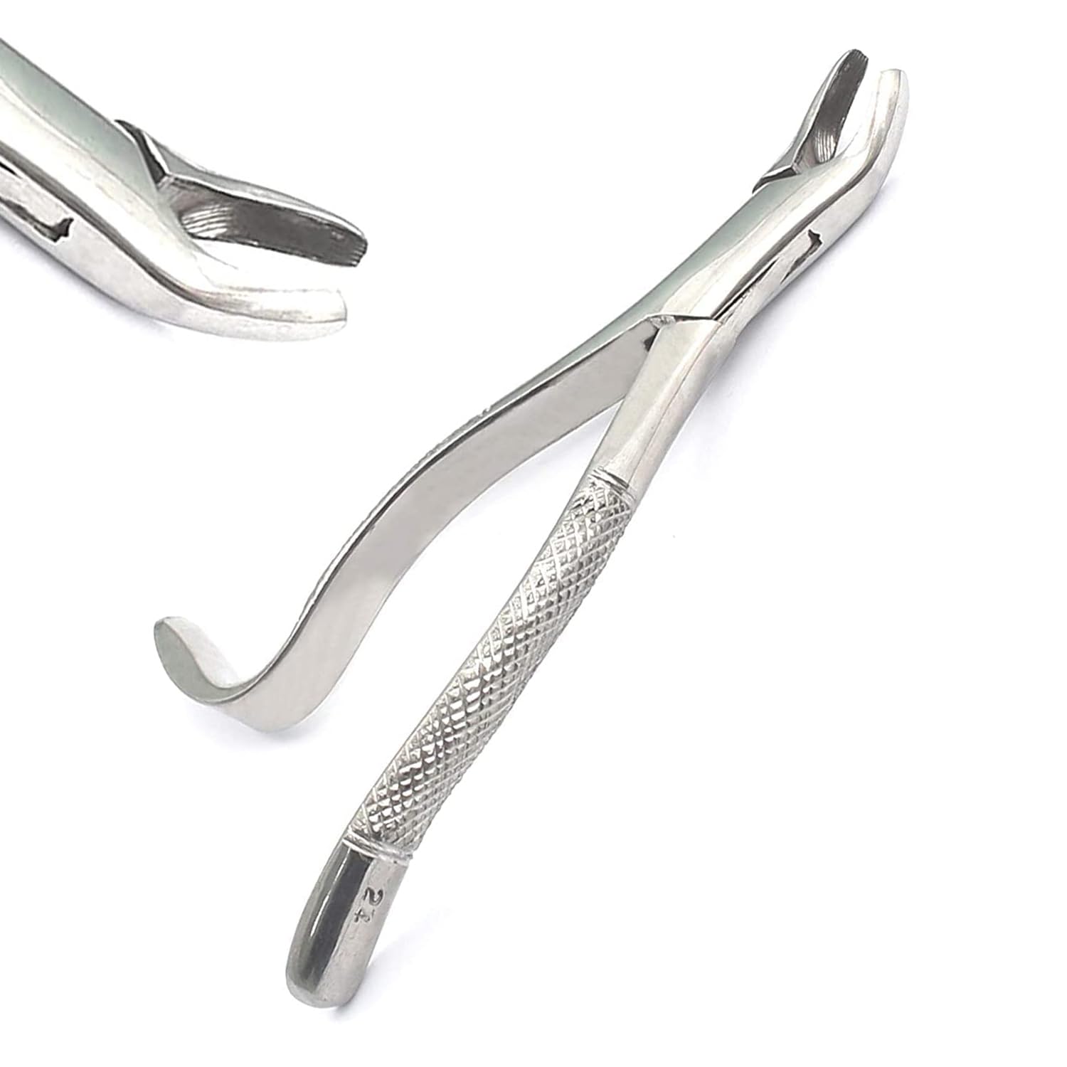 PRECISE CANADA: German Grade EXTRACTING Forceps # 24 Dental Instruments New