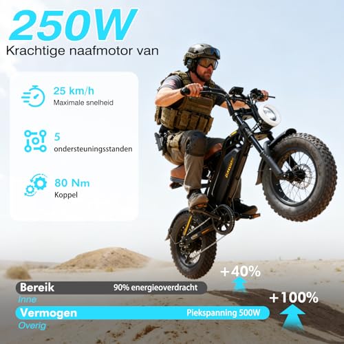 Bodywel M16 E-bike voor dames en heren, 16 x 4,0 inch All Terrain E Fatbike City & Mountain, 48 V 13 Ah acu, 250 W motor, bereik 80 km (PAS), LCD-display, dubbele verlichting, volledige vering - Afbeelding 4