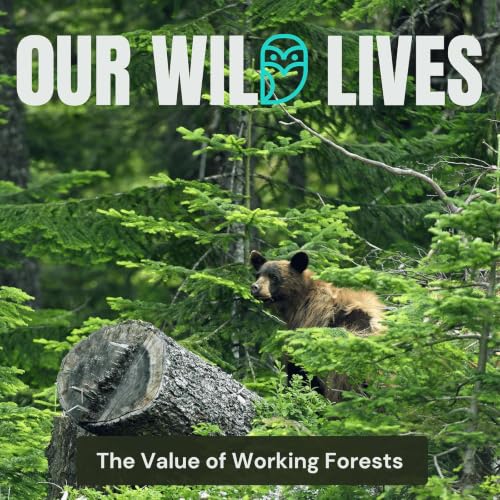 The Value of Working Forests