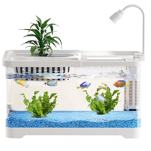Petit Aquarium à Poissons - Aquarium pour Combattant avec Filtre - Bocaux Paysage Nourrisseur Clairs pour Guppy Crevettes Escargots Débutants Amoureux des Animaux De...