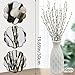 ACRYCS 20 Pcs Natural Preserved Dried Flowers Pussy Willow Branches for Vases Stems Real Willows 19.7