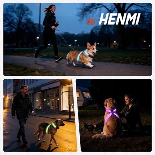 HENMI Hundegeschirr Leuchtend mit Hundeleine, Air-Mesh Leuchtgeschirr für Mittlere Hund, LED Aufladbar Reflektierend Geschirr Set für nächtliche Spaziergänge
