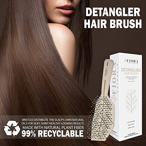 Hair Brush Set For Women - Fiora Naturals Hair Detangler Brush, Round Brush, And Comb Set - Bio-Friendly Hairbrushes For Detangling And Blow Drying - For All Hair Types, Natural, Fine & Curly. #TOP5