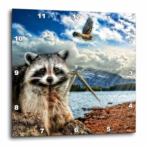 3dRose Wall Clock Silent - 10 inch - Raccoon and a Hawk in a Mountain Lake Setting. 5 Photographs Combined. - Wildlife