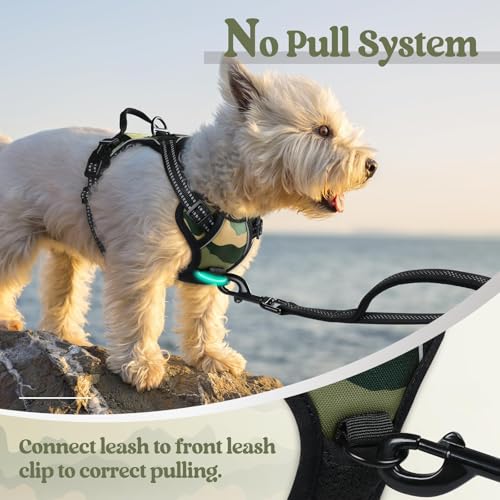 Image of rabbitgoo Dog Harness No Pull with 2 Leash Clips, Adjustable Soft Padded, Reflective Oxford No Choke Pet Vest with Easy Control Handle for Large Dogs, Green Mountain,XS