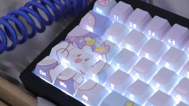 ♡Hi♡ Hyekit PBT Side Printed Double Shot Shine Through Custom