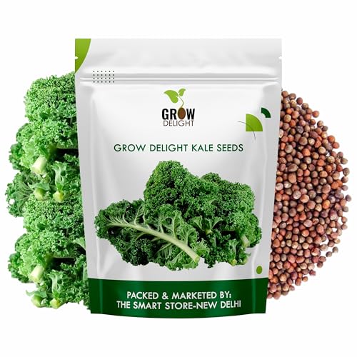 Image of Kale 50+ Vegetable Seeds for Home Garden