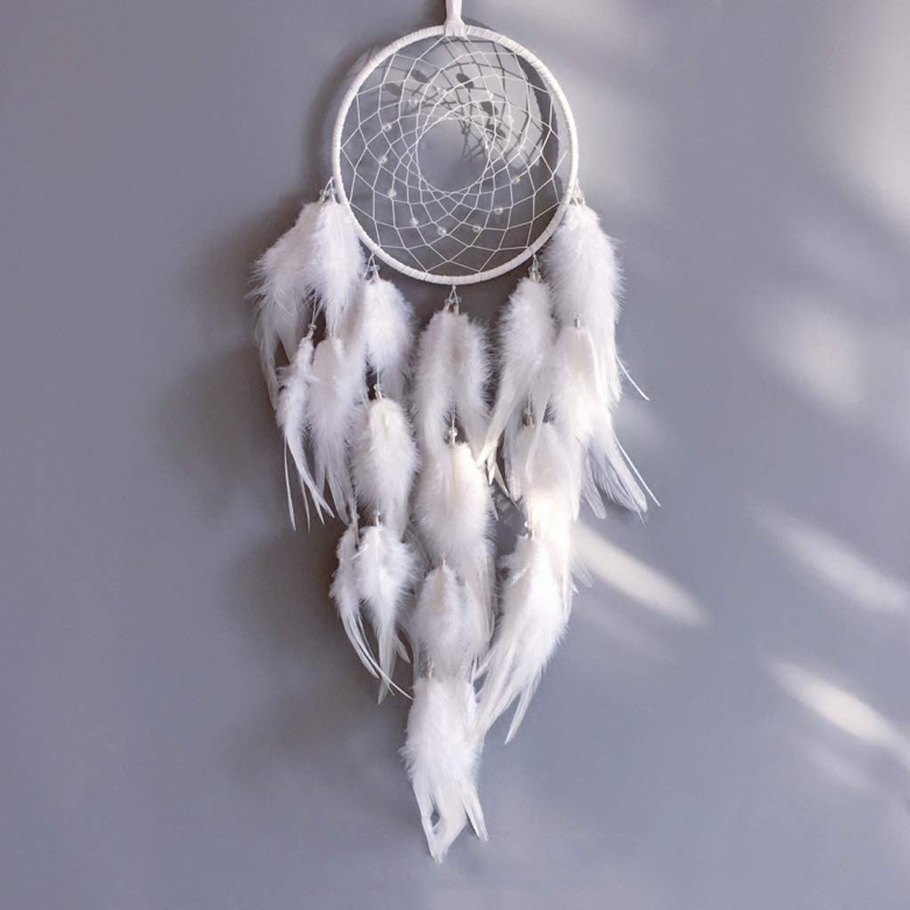 5 Piezas Pluma/pequeño Giro En Blanco Encaje Loco Madera De Phoebe 127