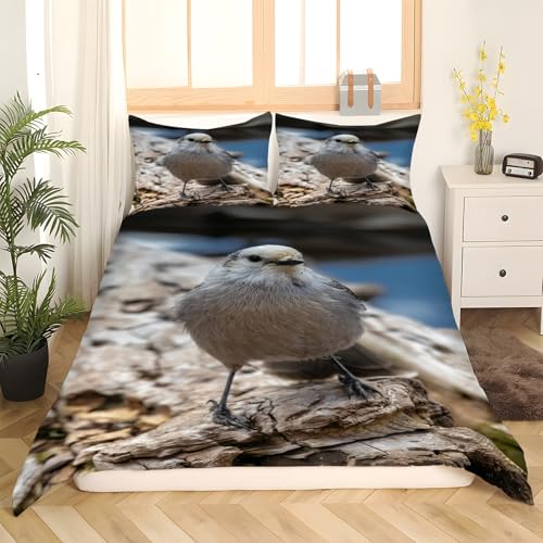 Housse couette en microfibre douce 200x200 avec zip motif oiseau mésange - 3