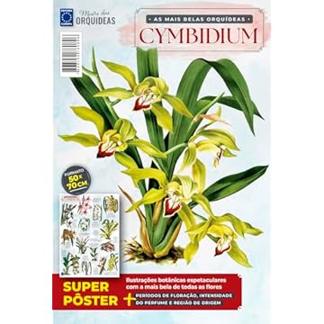 Capa do livro Pôster Mestre das Orquídeas - As Mais Belas Orquídeas Cymbidium