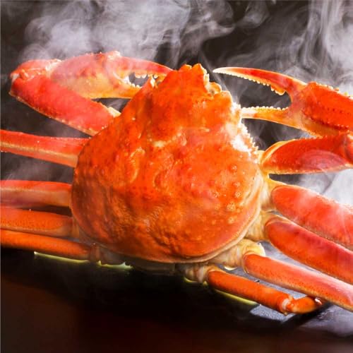 �Y���C�K�j �J�j ���� �I �J�i�_�Y ���킢�I �p ���킢 ���킢���� �p �Y���C �Y���C�I �Y���C�K�j�p (2000g)