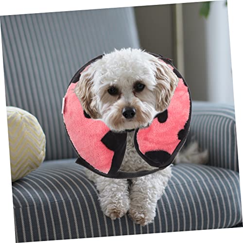 Collar inflable para gatos con visibilidad total y protección suave posquirúrgica 4