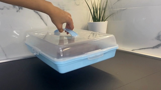 Engelland - Piccola scatola per il trasporto della torta rettangolare con manico, coperchio e chiusura a doppio clic, colore: rosso/trasparente, lunghezza 27,5 cm x larghezza 26,5 cm x altezza 12,5 cm