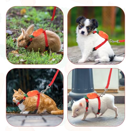 Image of Small Rabbit Harness and Leash Set, Adjustable Double Buckle Bunny Leash, Escape Proof Leashs for Pet Running Walk Jogging Bunny Cat Puppy Kitten Ferret and Other Small Pet