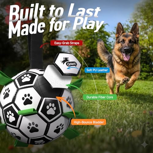 Image of QDAN Large Dog Toys, Soccer Ball for Dogs with Straps, 9 Inch Big Dog Ball | Training Soccer Balls for >90 lbs Dogs, Giant Herding Ball for Dogs, Interactive Water Pool Toys for Tug Chase, Dog Birthday