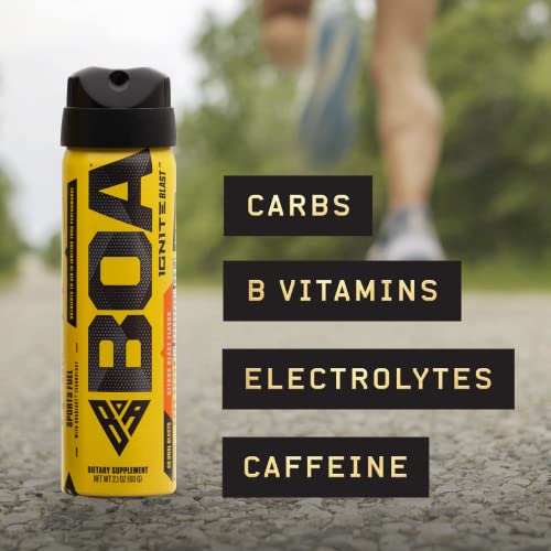 Boa Endure And Ignite Blast Combo 2 Oz, 25 X 150Mg Servings #TOP5