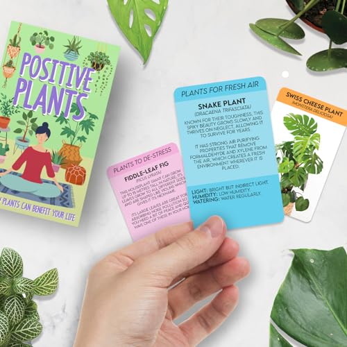 Gift Republic Positive Plants Card Pack, Green - Image 4