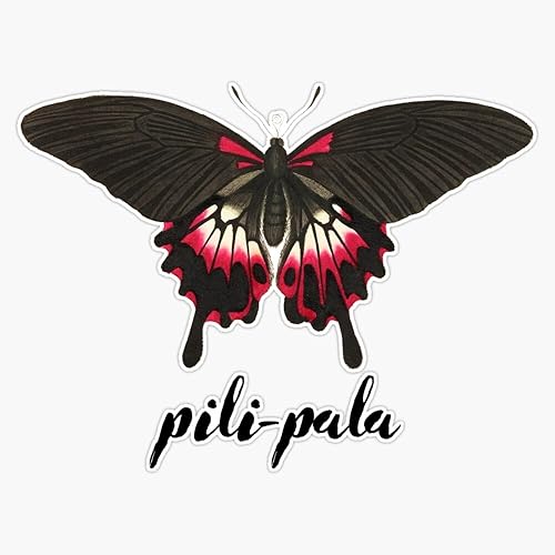 PILI-Pala - Calcomanía de vinilo para parachoques de lengua galesa, mariposa, Cymraeg, 5 pulgadas