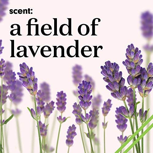 Miniatura 6 de C&C by Clean & Clear Total Zen - Limpiador facial calmante de espuma de lavanda para eliminar la suciedad, lavado facial relajante sin aceite para