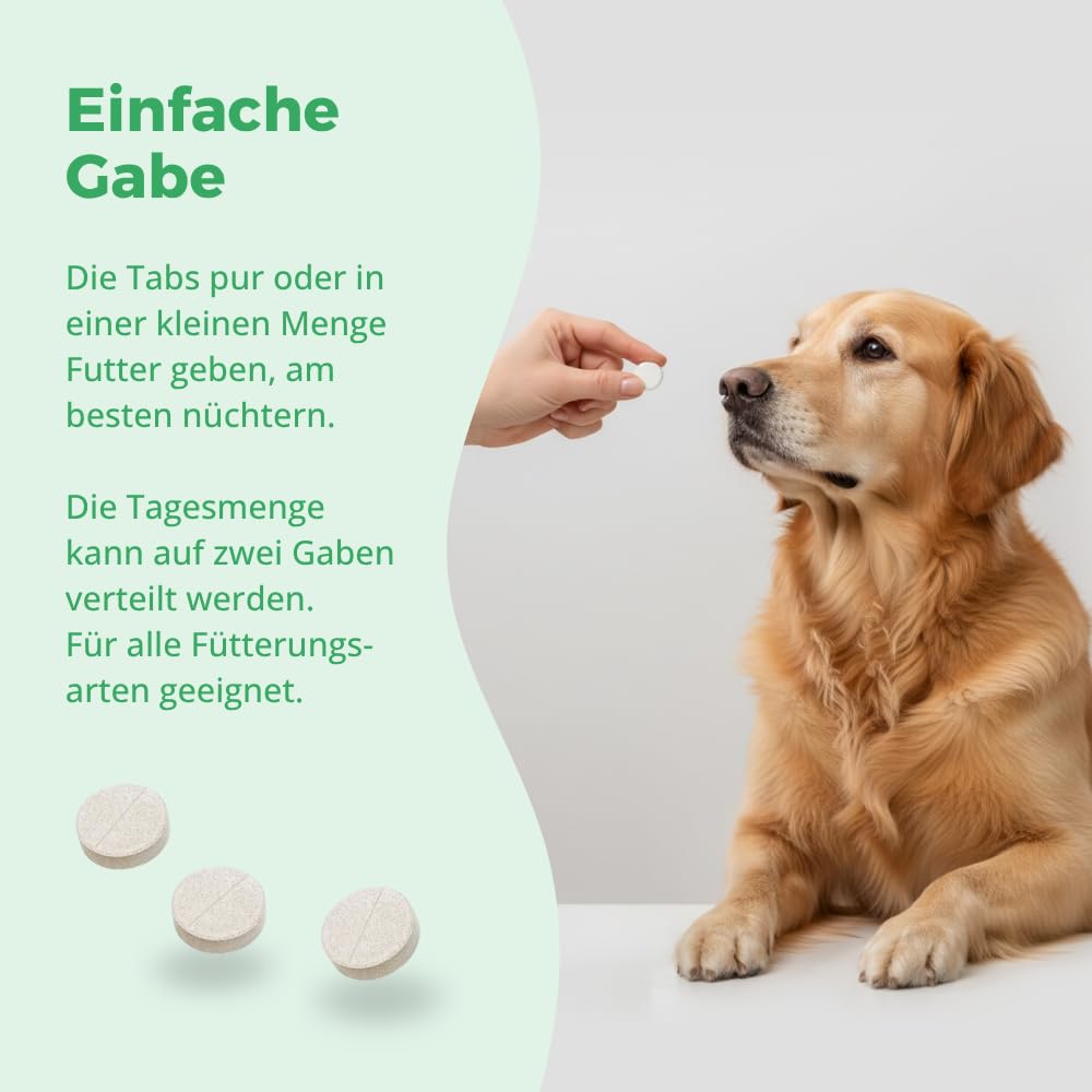 Comfort Sensitiv Tabs – Natürlicher Entspannungs-Komplex für ernährungssensible Hunde – Mit Tryptophan aus Molke, Magnesium und B-Vitaminen – 150 Tabs
