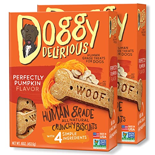 Doggy Delirious Crunchy Dog Treats – for All Pet Sizes, Breeds – All-Natural Puppy Treat – 100% Human-Grade – Delicious Pet Treat Bones, Snacks for Dogs – Pumpkin