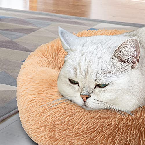 DanceWhale Rotonda Cuccia per Cani e Gatti