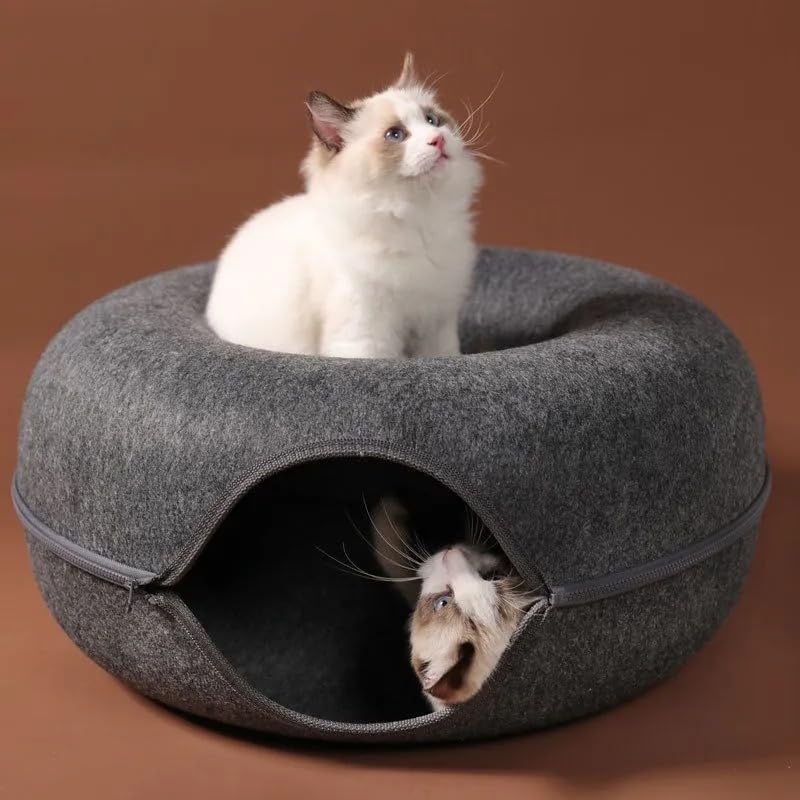 Panier lit coussin pour chat idéal dans le salon pour ses siestes