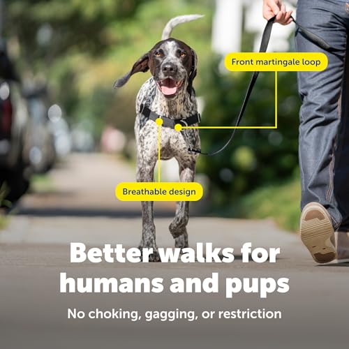 PetSafe Easy Walk Hundegeschirr, kein Ziehen, perfekt für Leinen- und Geschirr-Training, verhindert, DASS Haustiere bei Spaziergängen ziehen und ersticken – Größe M/L, Anthrazit/Schwarz