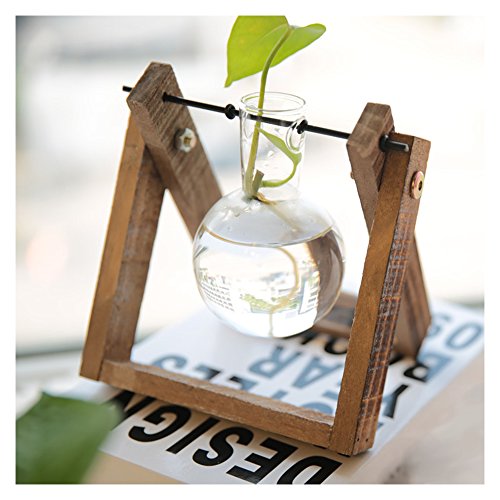 ZZM Lampadina Vaso, Vaso in Vetro da Appendere con...