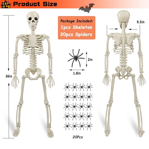 Image of 36 inch Skeleton Halloween Decorations, 3ft Life Size Human Skeleton with Full Body Movable Posable Joints Skeleton, Halloween Skeletons with 20 Spiders for Yard Haunted House Props Indoor Outdoor Decor