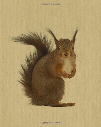 Squirrel: Artified Pets Squirrel Journal/Notebook/Diary