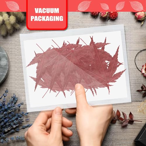 Hojas secas naturales de arce 42 pcs para manualidades miniatura 3