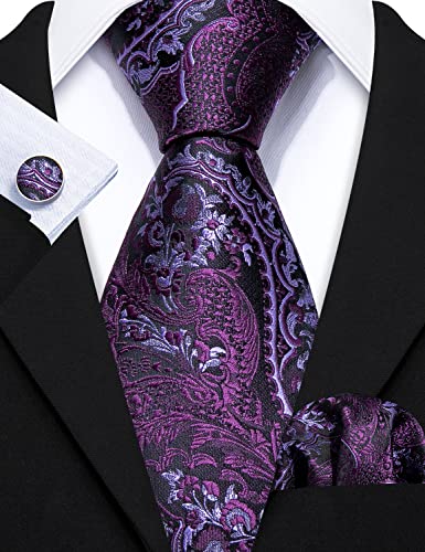 Image of Barry.Wang Men Tie Classic Silk Gift Necktie With Tie Clip Jacquard Woven Neck Ties 6PCS Formal Wedding