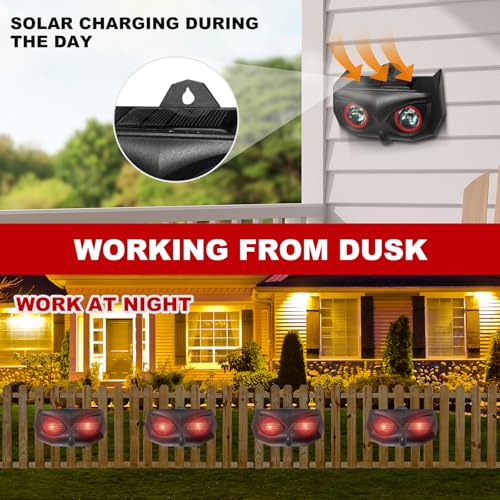 Shinyart AR17SPRO 4 Pack Upgraded Solar Nocturnal Animal Repeller,Outdoor Animal Repellent Device With Night Lights For Chicken Coop,Farm,Coyote Deterrent For Fox,Skunk,Raccoon Etc. Ar17Spro thumb #3