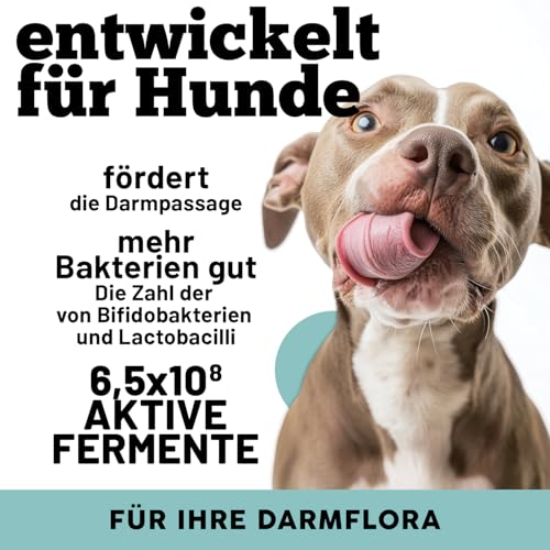 MyPetPrime Probiotika Darmflora Hunde | 30 CPR | Tabletten Darmsanierung für den Hund | Für verbesserte Verdauung & Immunsystem | gesundheitsprodukte