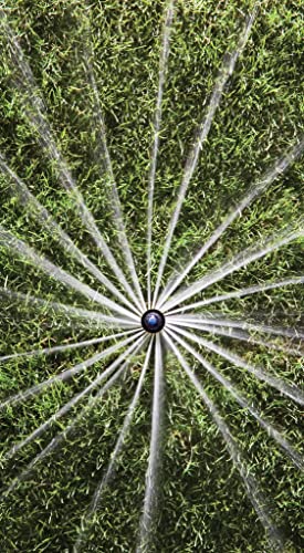 Rain Bird 12Safpro High-Efficiency Pro Rotary Sprinkler, 360° Full Pattern, 13' - 18' Spray Distance, 4" Pop-Up Height #TOP2