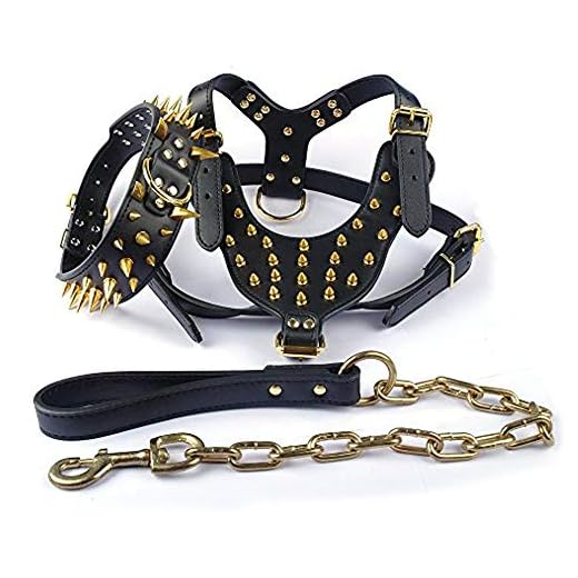 Didog Black Golden Rivets Spiked Studded Leather Dog Pet Collar(Sharp Rivets) & Harness & Leash 3Pcs Matching Set for Pitbull Boxer