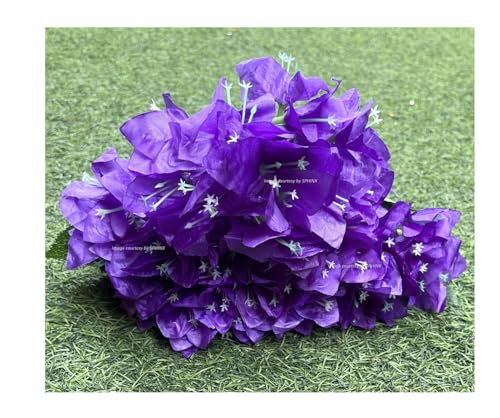 Image of SPHINX Artificial Bougainvillea 5 Heads Bunch Without Vase for Home Decor,Centerpieces, Christmas Decorations, Welcome Reception, Dinner Table decor Approx Height 50 cms- (Purple, 1 Piece)
