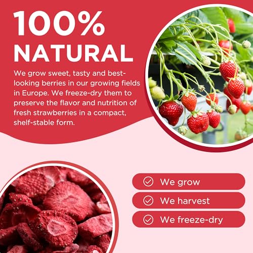 Summmer Freeze Dried Fruit Mix thumb #2