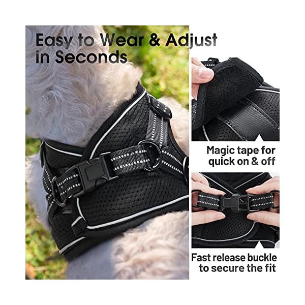 rabbitgoo-Small-Dog-Harness-Step-in-Soft-Mesh-Dog-Harness-with-4-Adjustable-Straps-No-Pull-Dog-Vest-Harness-with-Double-Clips-Reflective-Strips-Escape-Proof Small Dog Harness with Double Clips