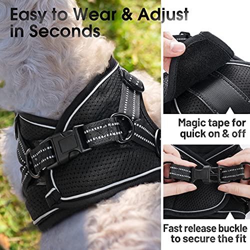 rabbitgoo Small Dog Harness, Soft Mesh Dog Harness with 4 Adjustable Straps, No Pull Dog Vest Harness with Double Clips… - Image 5