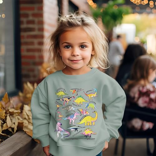 MODNTOGA Dinosaur Sweatshirt Toddler Boy Girl T-rex Ranch Crewneck Shirt Long Sleeve Dino Graphic Top Baby Fall Winter Outfit2