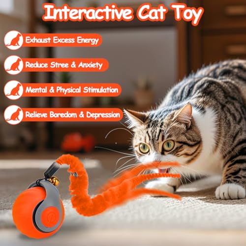 Image of Mity rain Interactive Cat Toy Ball, Rechargeable Cat Toys for Indoor Cats | with Feather Tails for Kittens Chasing, Motion Activated Ball for Enrichment, Automatic Rolling Toys to Keep Them Busy Orange