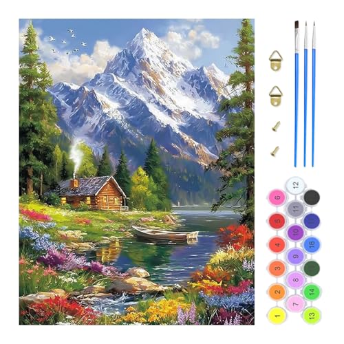 TOSTOG Peinture par Numéro Adulte Montagnes enneigées Peinture par Numéros pour Adulte maisons...