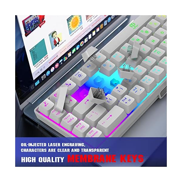 Snpurdiri 60% kabelgebundene Gaming-Tastatur, mechanisches Gefühl, kleine Mini-Gaming-Tastatur, tragbare kompakte RGB… – Bild 5
