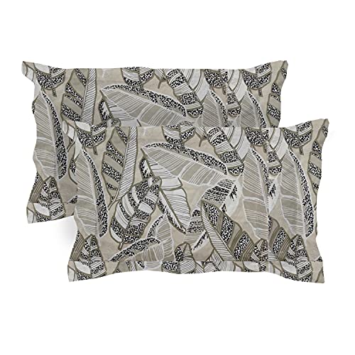 Image of 100% Cotton 400TC Bedsheet /Bedsheets /Bed Sheet /chadar - Soft and Breathable - Flat Sheet with 1 Pillow Cover Single Size Taupe Damask Print