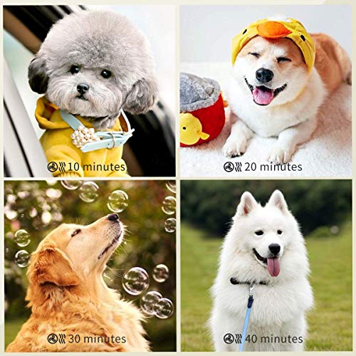 image for CHAOLUN Dog Dryer for Pet Grooming, High Velocity Pet Hair Dryer with 