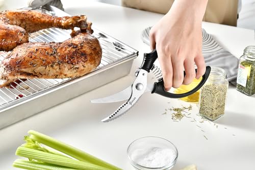 Heavy Duty Poultry Shears