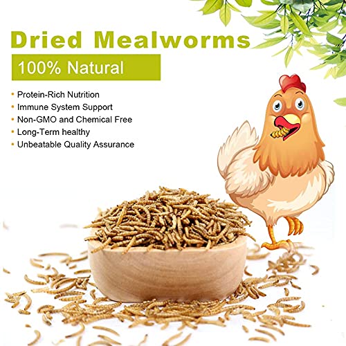 LuckyQworms Mealworms, High-Protein Dried Mealworms for Birds, Chickens, Turtles, Fish, Hamsters and Hedgehogs, Non-GMO… - Image 6
